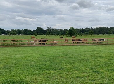 31626 Johlke Rd, Magnolia, TX 77355 - photo 4