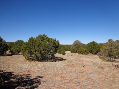 Tract 1B Camino Del Sol, Bernal, NM 87569 - photo 3