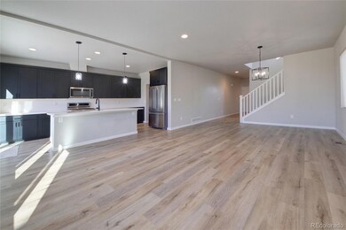 462 Blanket Flower St, Calhan, CO 80808 - photo 4