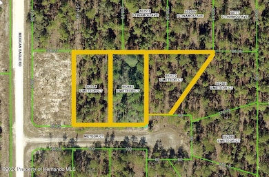 0 unit 2250036, Weeki Wachee, FL 34614 - photo 2