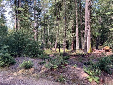 Big trees and sunny meadows on over 2 private acre