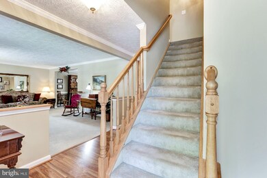 8002 Treasure Tree Ct, Springfield, VA 22153 - photo 4