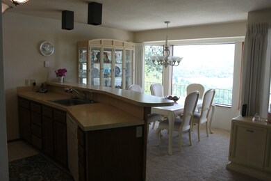 914 Cone Rd, Chelan, WA 98816 - photo 5