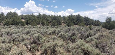 Lot 1505 Juarez & Dunn Rd unit 1505, San Luis, CO 81152 - photo 2