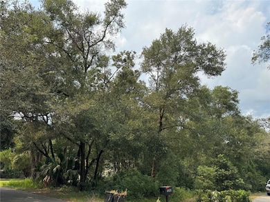 From the right of the lot.