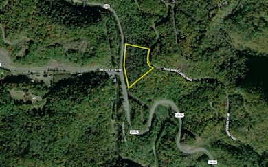 Lot 78 Bear River Lodge Trail, Marshall, NC 28753 - photo 6