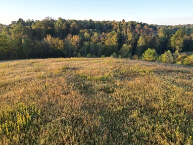 0 Casey Creek Rd, Knifley, KY 42753 - photo 4