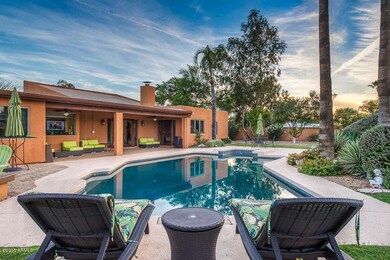 Back yard