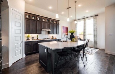 827 Langholm Dr, Celina, TX 75009 - photo 3