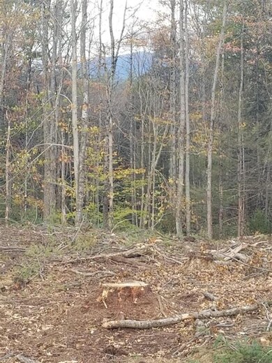 10/29 Daley Rd, Fitzwilliam, NH 03447 - photo 7