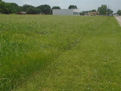 1821 Louise St, Rosenberg, TX 77471 - photo 4