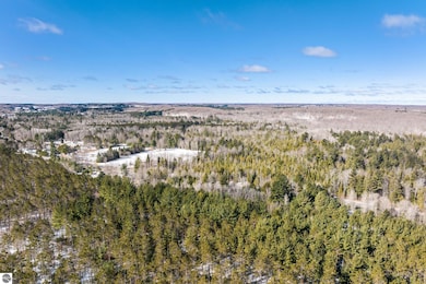 0 S Garfield Rd unit 1931600, Kingsley, MI 49649 - photo 3