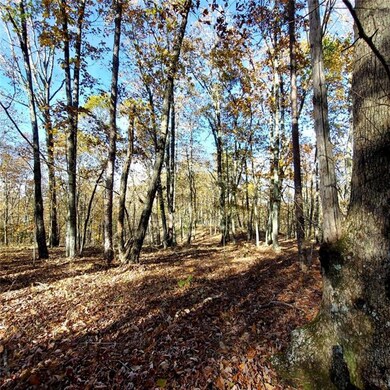 0 Mckibben Rd unit 7665027, Buchanan, GA 30113 - photo 6