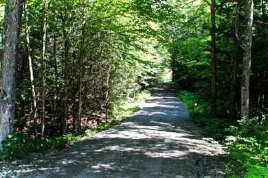 0 Crowningshield Rd unit 1 4819621, Chesterfield, NH 03443 - photo 5