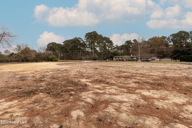 100 Rockfish, Edenton, NC 27932 - photo 4