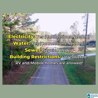 Tract 2B County Road 329, Wedowee, AL 36278 - photo 6