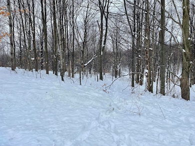 VL W Grant Rd, Shelby, MI 49455 - photo 7