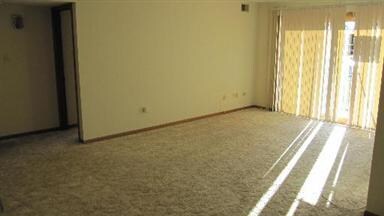 11045 S Theresa Cir unit 1B, Palos Hills, IL 60465 - photo 4