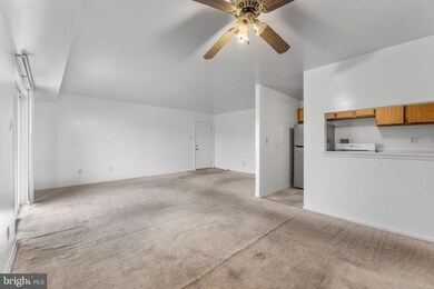 4270 E Capitol St NE unit 301, Washington, DC 20019 - photo 7