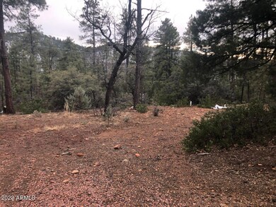 95 Wagon Wheel Way unit B5 ROS 3142 aka 3099, Strawberry, AZ 85544 - photo 3