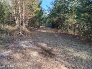 1043 24th St, McComb, MS 39648 - photo 7