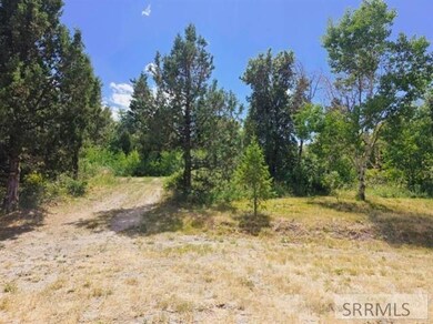 11904 E Bugaboo Trail, Lava Hot Springs, ID 83246 - photo 5