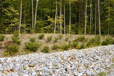 15 Riverview Dr, Franklin, NH 03235 - photo 7