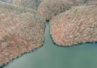 3909 Hodge Hollow Rd, Pulaski, VA 24301 - photo 7