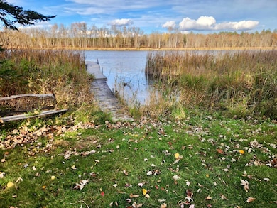 17501 S Blueberry Rd, Menahga, MN 56464 - photo 4