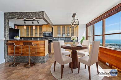 Park Place Tower unit 4101, Chicago, IL 60613 - photo 3