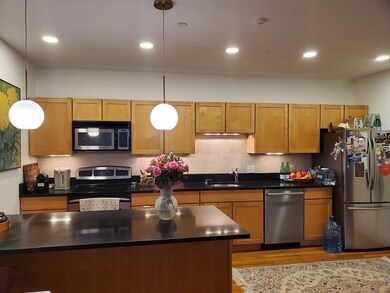 429 Norfolk St unit 13, Somerville, MA 02143 - photo 3