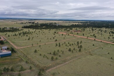 17090 Red Barn Rd, Peyton, CO 80831 - photo 7