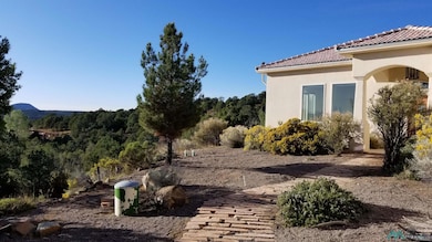 4520 N Swan St, Silver City, NM 88061 - photo 2