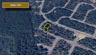 0 Malaluka Place unit 25518503, Chipley, FL 32428 - photo 6