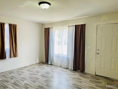 501 S Cypress, Parma, MO 63870 - photo 5