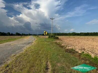 State Highway 173, Wilmot, AR 71676 - photo 4