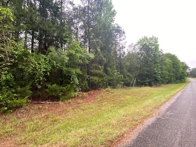 0 Isaac Creek Rd, Homer, LA 71040 - photo 4