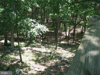 273 Fox Squirrel Way, Lost River, WV 26810 - photo 4