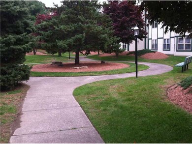 Yard/Garden.