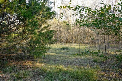 907 Benton St, Bonham, TX 75418 - photo 4