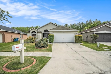 31203 Wrencrest Dr, Wesley Chapel, FL 33543 - photo 2