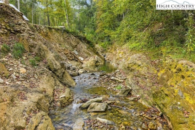 812 Jakes Mountain Rd, Deep Gap, NC 28618 - photo 6