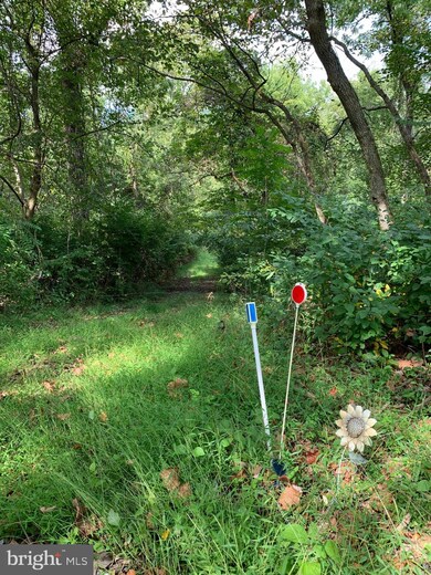 0 Low Line Road Tract 7 unit WVMO2001888, Great Cacapon, WV 25422 - photo 3