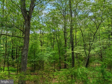 Lot Q Twin Oaks Dr, Bentonville, VA 22610 - photo 7