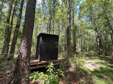 1 Railroad Ln, Pinola, MS 39149 - photo 4