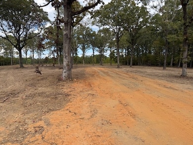 TBD Hwy 53, Bradley, AR 71861 - photo 2