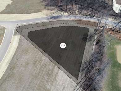 8422 Six String Dr, College Grove, TN 37046 - photo 2