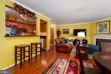 303 Trinity Ct unit 1, Princeton, NJ 08540 - photo 2