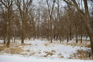 16XXX 4th Ave E, Lynden Township, MN 55382 - photo 7