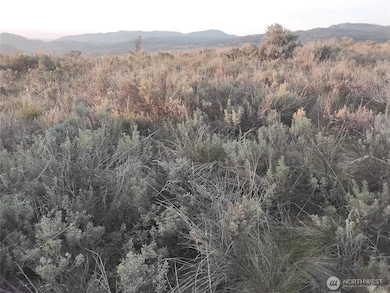 0 Paradise Point Rd unit NWM2455797, Tonasket, WA 98855 - photo 6